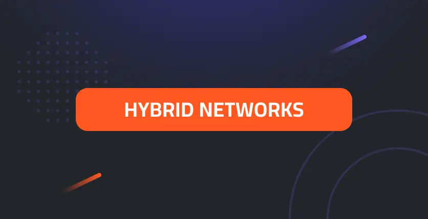 Hybrid Networks: A Versatile Approach to Connectivity